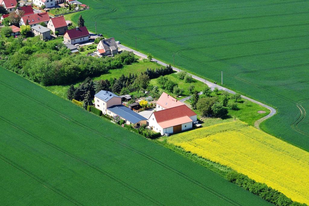 ホテル Gastehaus Schirner Niederau エクステリア 写真